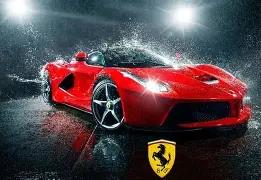 塞鸟,奥斯卡归化,进程加速,万博manbetx体育平台,万博体育官网,万博体育app下载,ManBetX,SPORTS