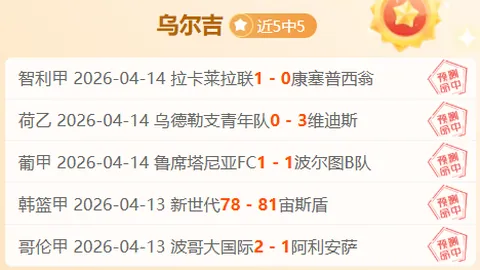 山东泰山前锋郭田雨正式加盟葡超维泽拉队租借效力